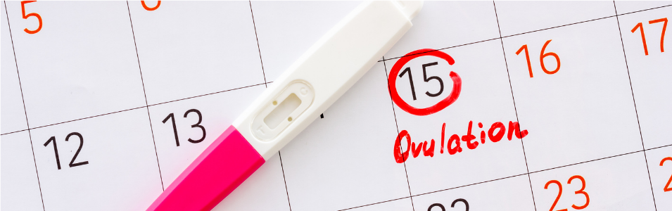 Starting Your Pregnancy Journey