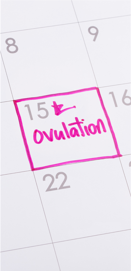 Starting Your Pregnancy Journey